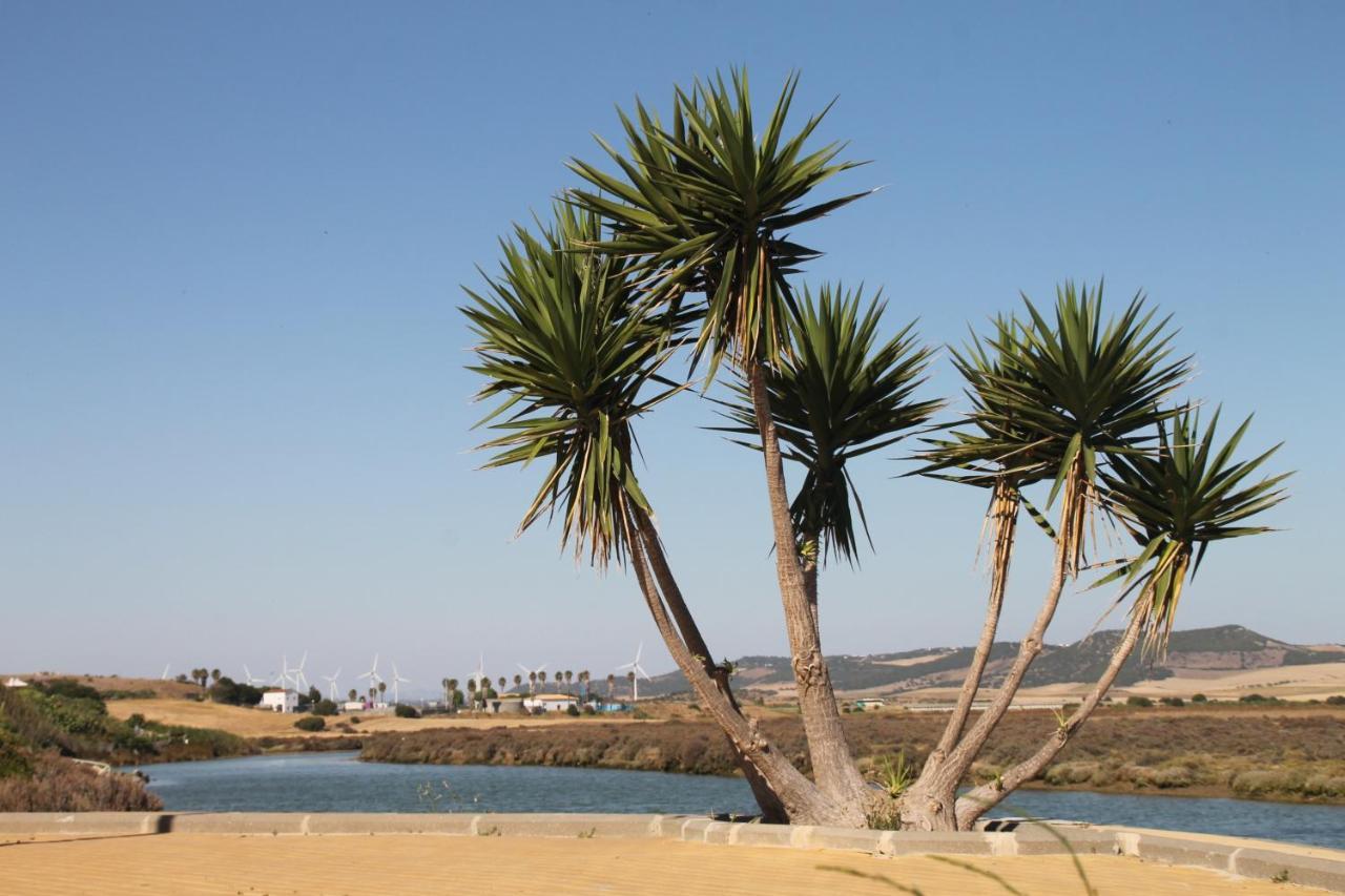Apartamento Duplex En Conil Conil De La Frontera Εξωτερικό φωτογραφία